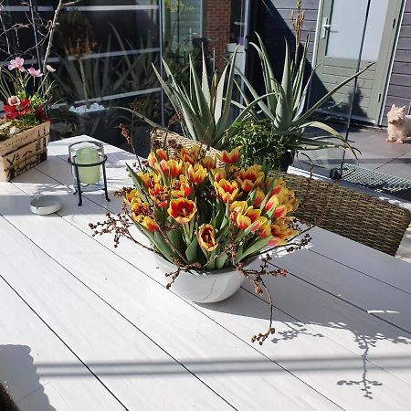B&B Modern Times Amsterdam Dış mekan fotoğraf