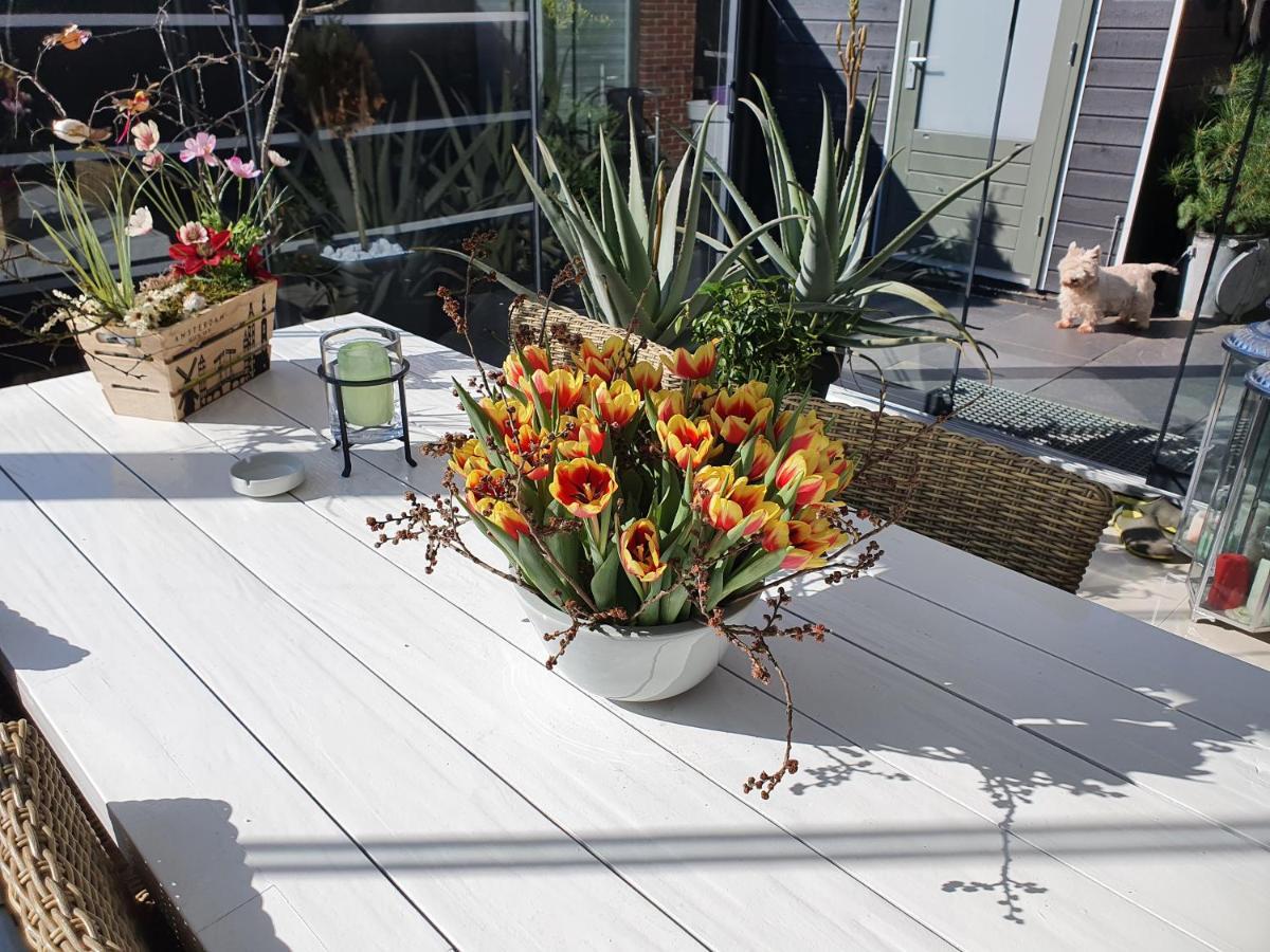 B&B Modern Times Amsterdam Dış mekan fotoğraf