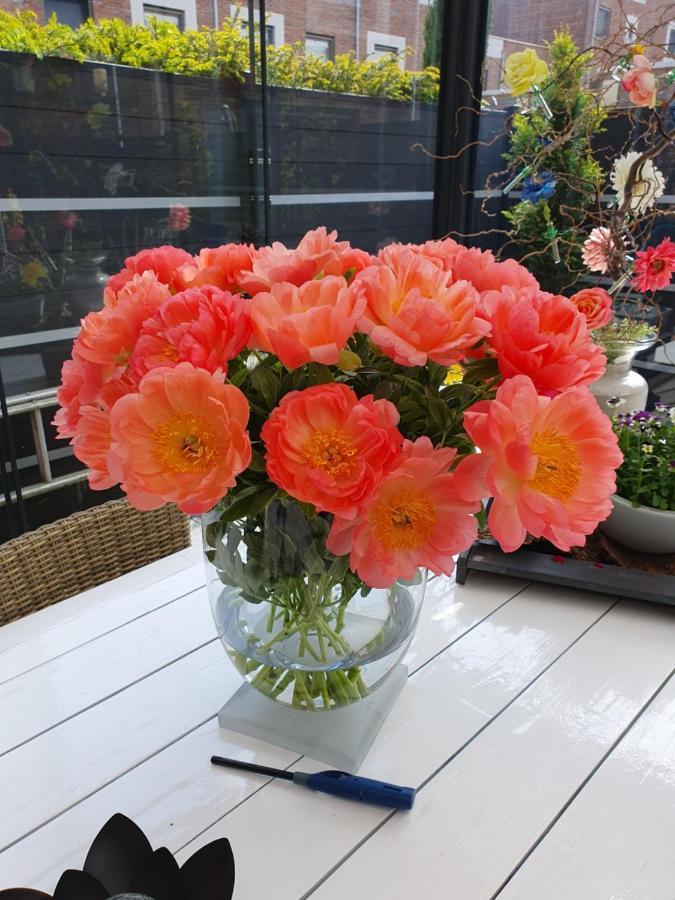 B&B Modern Times Amsterdam Dış mekan fotoğraf